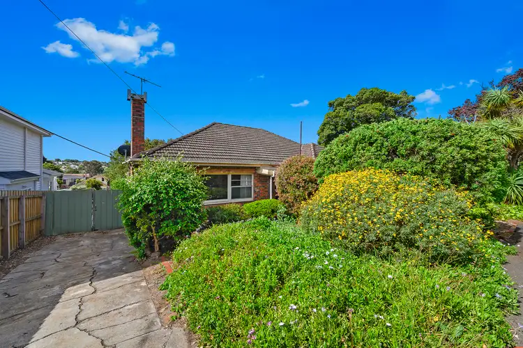 Third view of Homely house listing, 19 Nantes Street, Newtown VIC 3220