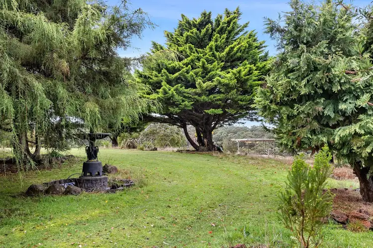 Third view of Homely land listing, 40 Grandmas Road, Staffordshire Reef VIC 3351