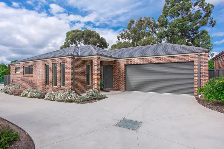 1/234A Humffray Street, Brown Hill VIC 3350