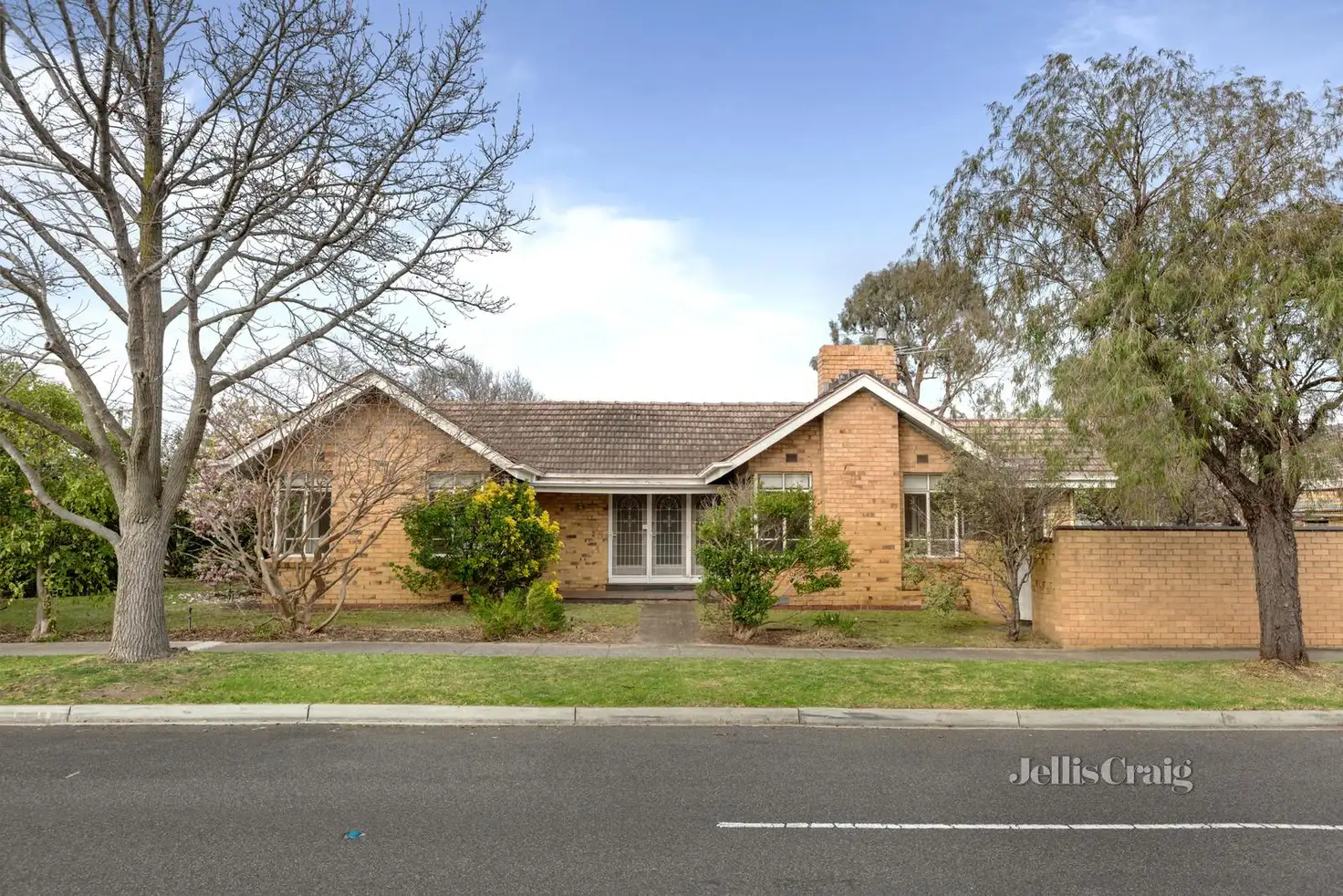 Main view of Homely house listing, 31 Cushing Avenue, Bentleigh VIC 3204