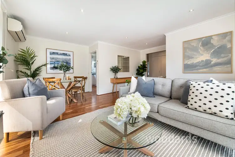 Second view of Homely unit listing, 3/44-46 Kingston Road, Surrey Hills VIC 3127