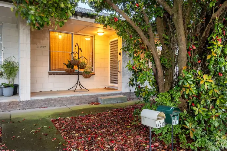 Main view of Homely unit listing, 3/217 Ripon Street South, Ballarat Central VIC 3350