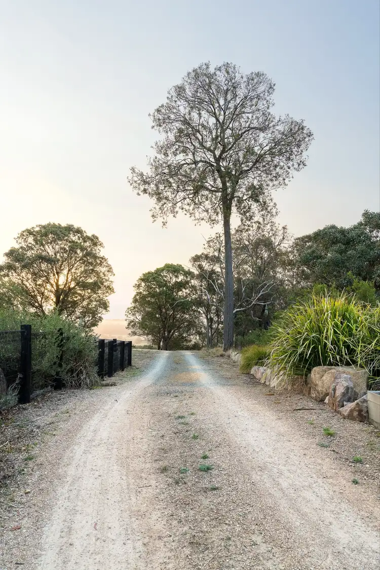 Second view of Homely house listing, 164 Mulhollands Road, Sarsfield VIC 3875