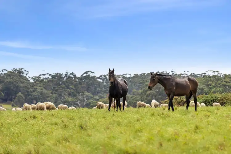 Second view of Homely land listing, 193 Savage Hill Road, Dereel VIC 3352