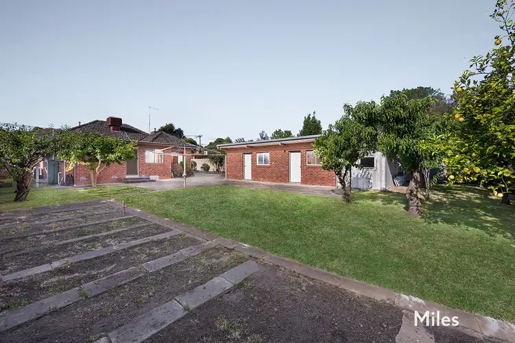 Third view of Homely house listing, 19 Jellicoe Street, Ivanhoe VIC 3079