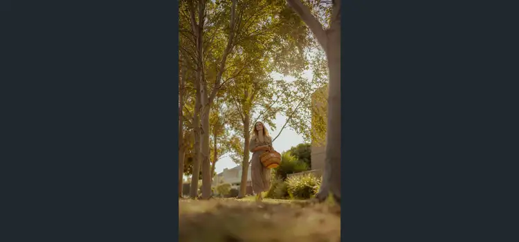 Seventh view of Homely land listing, LOT 809 New Road, Gawler Belt SA 5118