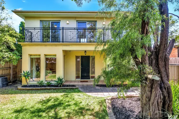 1/57 Teddington Road, Hampton VIC 3188