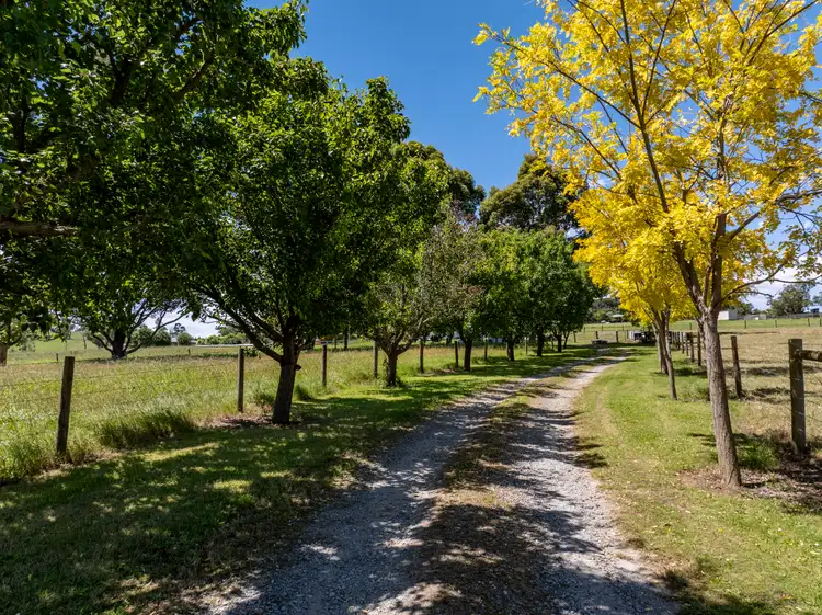 Third view of Homely house listing, 25 Wilson Road, Nar Nar Goon VIC 3812