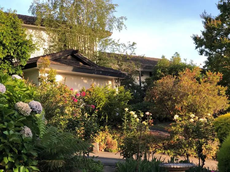 Main view of Homely house listing, 4 Thai Court, Mount Waverley VIC 3149
