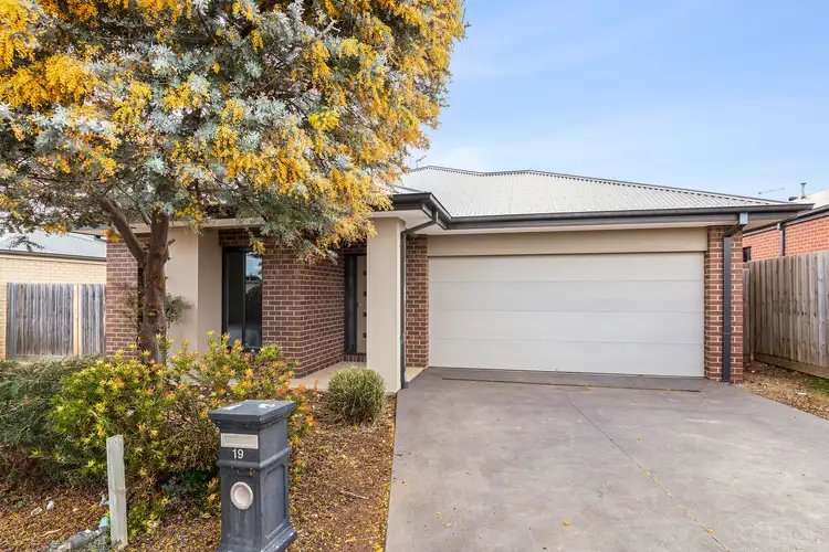 Second view of Homely house listing, 19 Amicus Street, Ocean Grove VIC 3226
