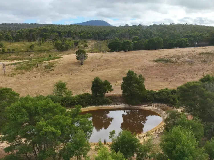 Fifth view of Homely rural property listing, 518 Pryors Road, Scotsburn VIC 3352