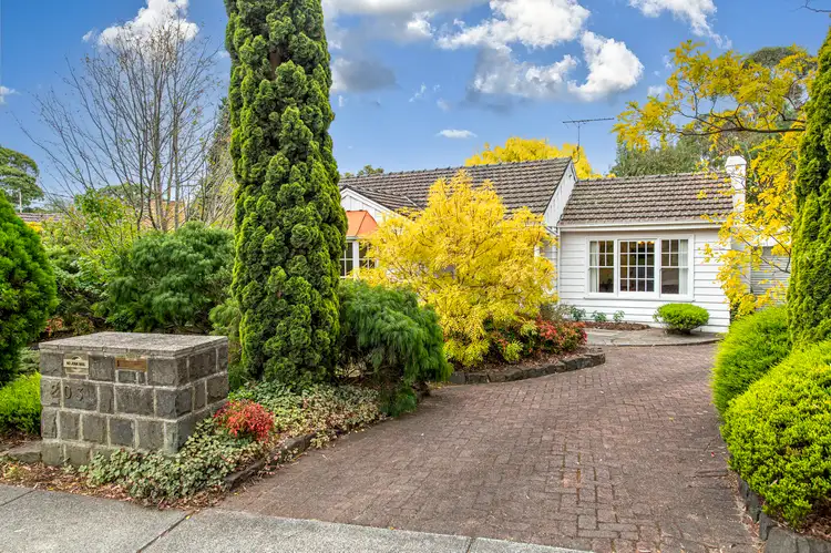 Main view of Homely house listing, 203 Central Road, Nunawading VIC 3131