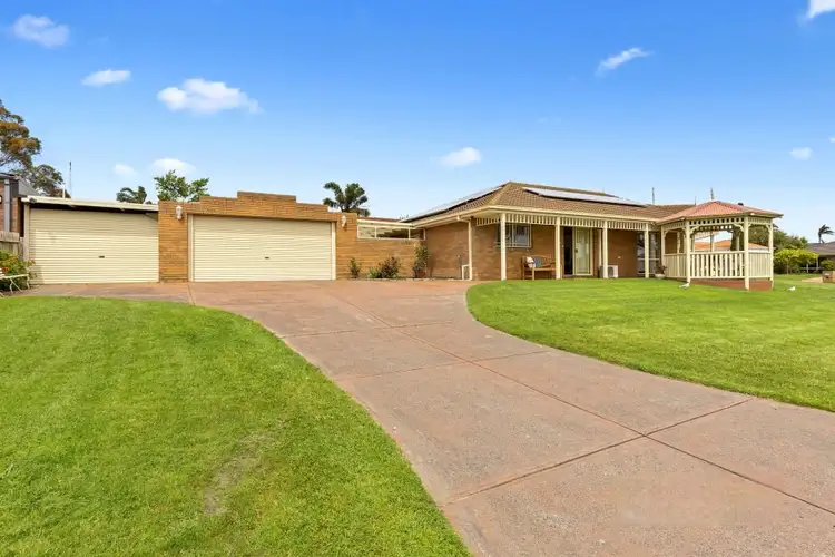 59 Palm Tree Drive