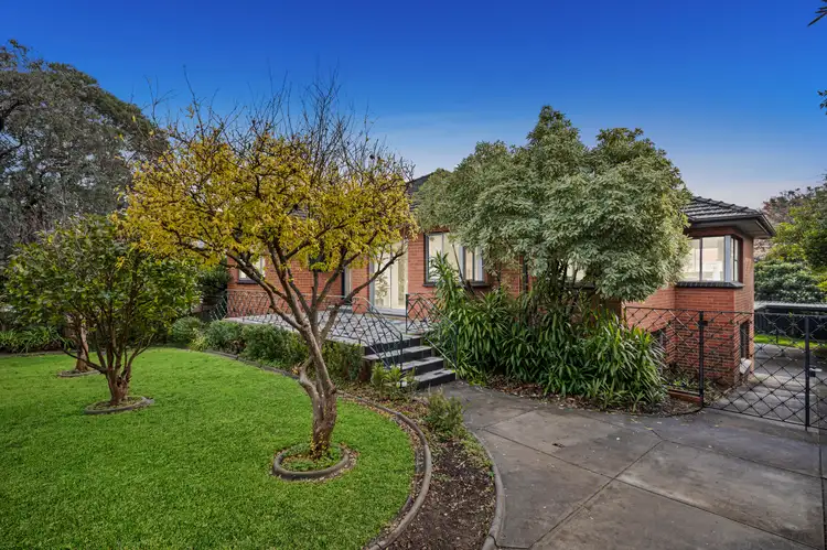 Main view of Homely house listing, 25 Essex Road, Mount Waverley VIC 3149