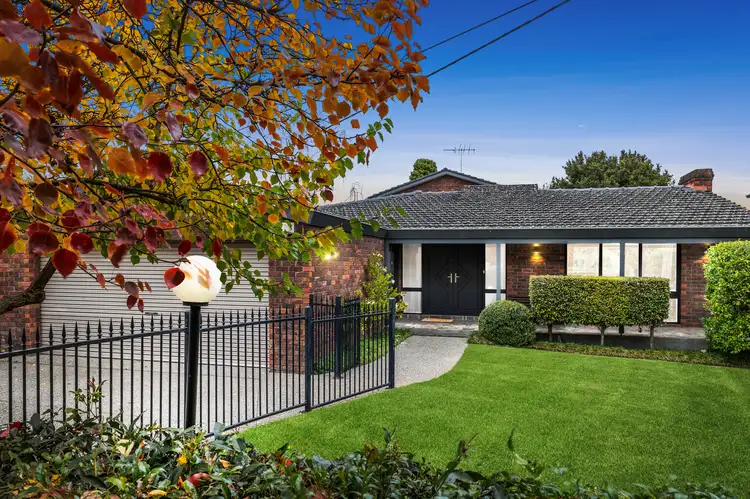 Main view of Homely house listing, 16 Bizley Street, Mount Waverley VIC 3149