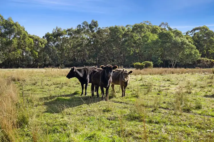 Seventh view of Homely rural property listing, 70 Parkers Road, Lal Lal VIC 3352