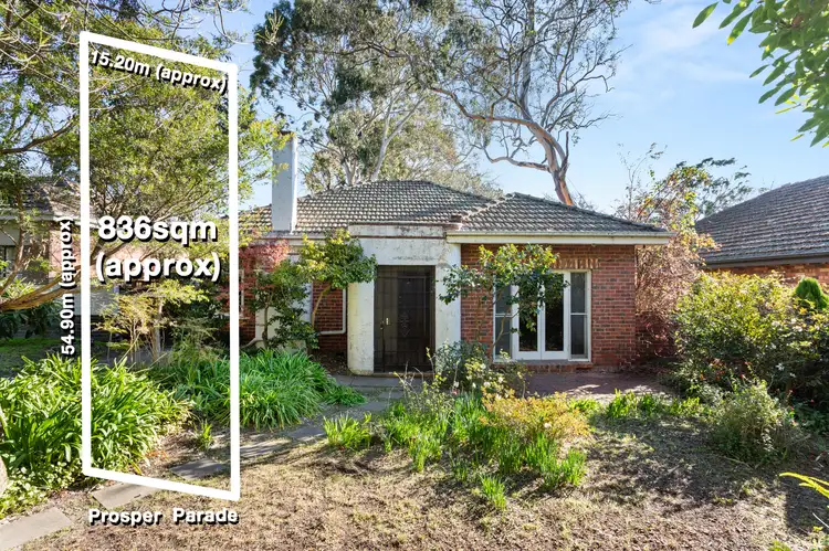 36 Prosper Parade, Ashburton VIC 3147