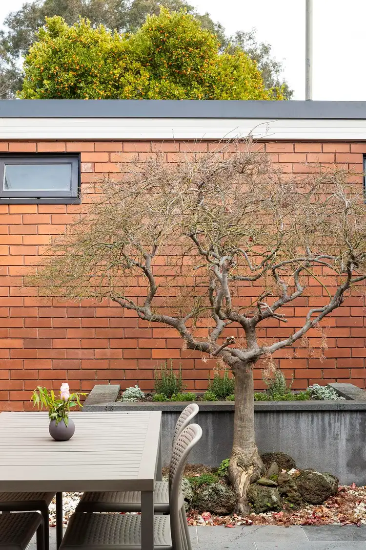 Third view of Homely house listing, 1/8 Berkeley Street, Hawthorn VIC 3122