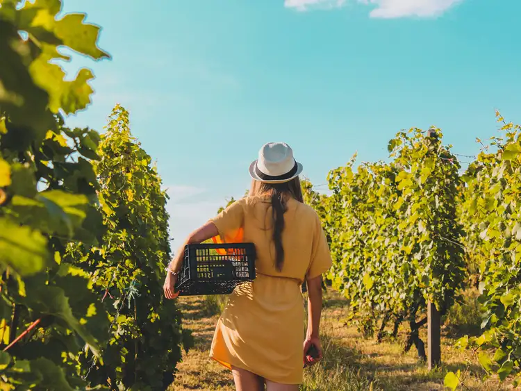 Seventh view of Homely land listing, LOT Lot 131, 8 Bayberry Street, Armstrong Creek VIC 3217