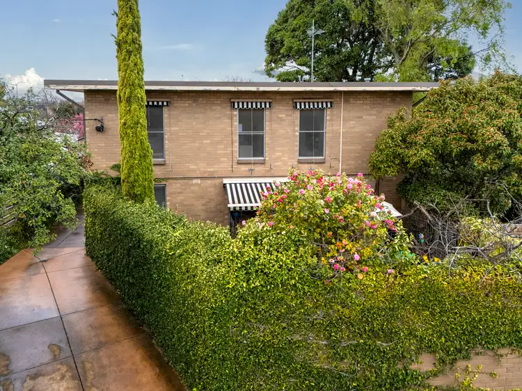 Second view of Homely unit listing, 3/20 Mary Street, Kew VIC 3101