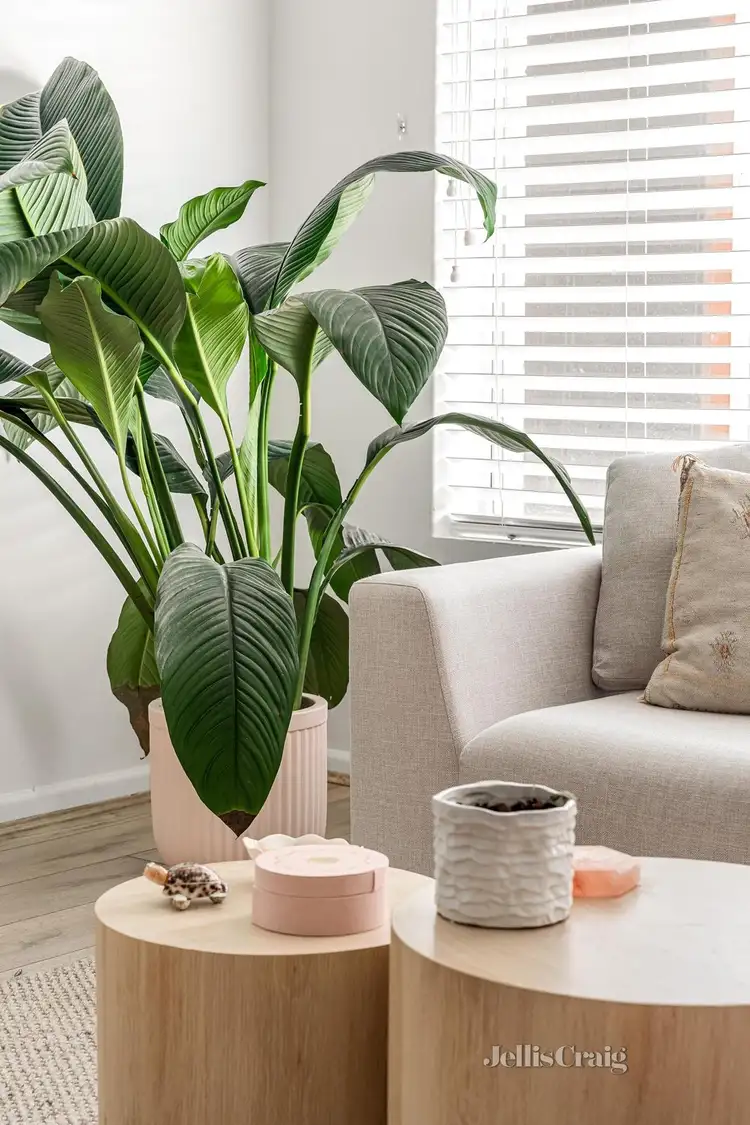 Second view of Homely apartment listing, 11/29 Graham Road, Highett VIC 3190