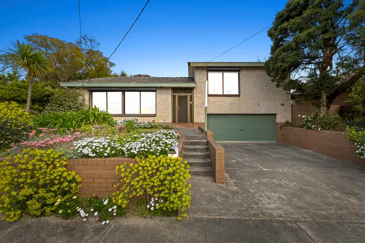 Main view of Homely house listing, 8 Palm Beach Crescent, Mount Waverley VIC 3149