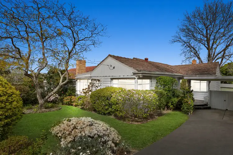 16 Montrose Street, Ashwood VIC 3147