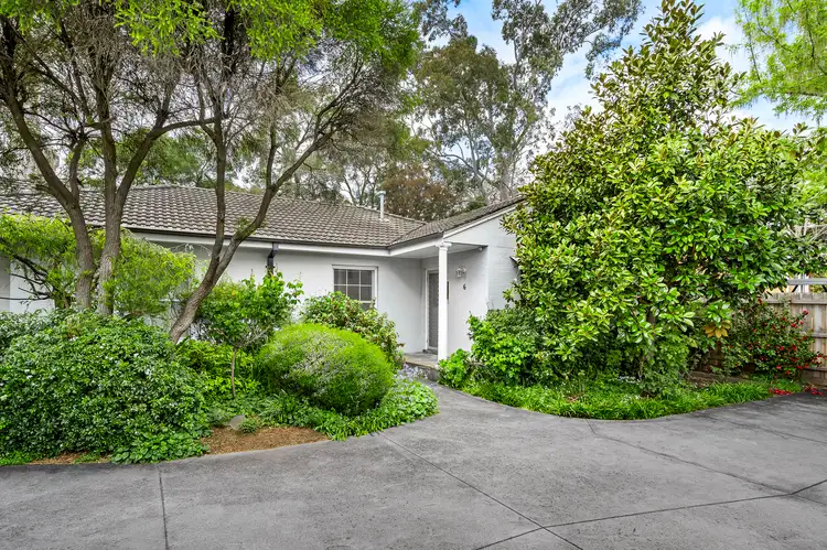 Main view of Homely unit listing, 6/20A Laburnum Street, Blackburn VIC 3130