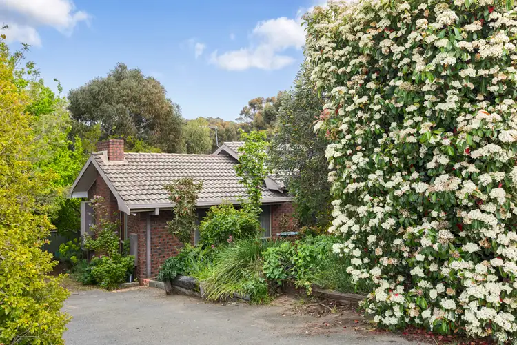 35 Specimen Hill Road, Golden Square VIC 3555