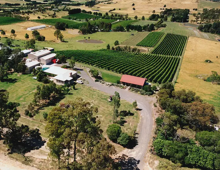 Fifth view of Homely rural property listing, Allinda Winery - 119 Lorimers Lane, Dixons Creek VIC 3775
