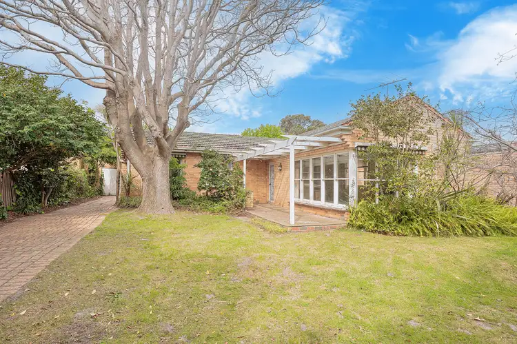 Main view of Homely house listing, 294 Bluff Road, Sandringham VIC 3191
