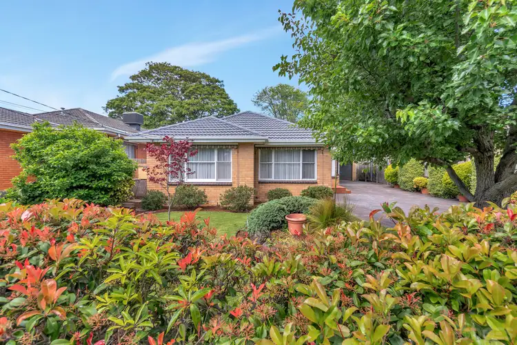 16 Ivy Street, Parkdale VIC 3195