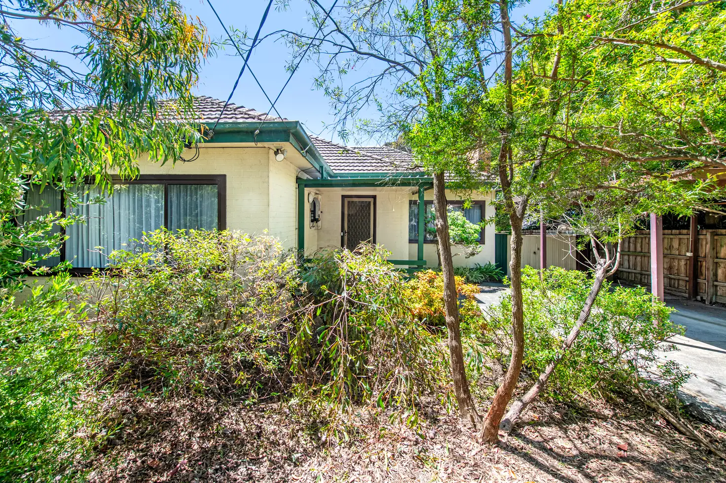 Main view of Homely house listing, 109 Esdale Street, Nunawading VIC 3131