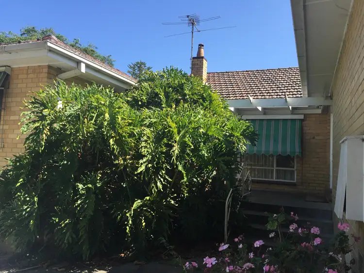 Second view of Homely studio listing, Rooms/227 Elgar Road, Surrey Hills VIC 3127