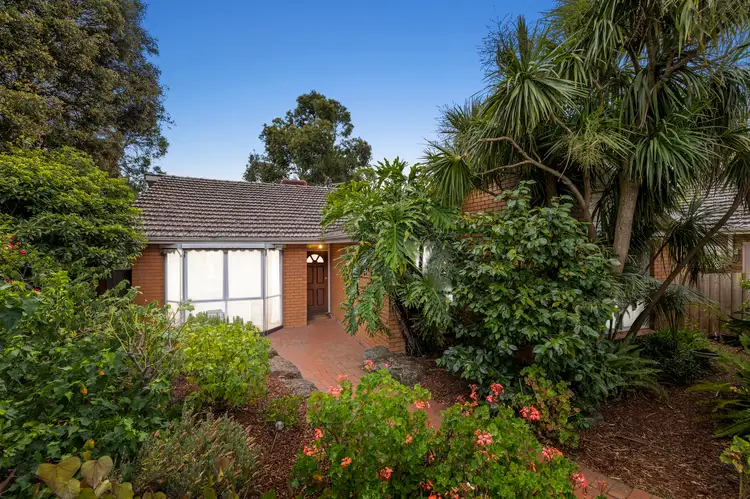 Main view of Homely house listing, 3 Rhonda Street, Mount Waverley VIC 3149