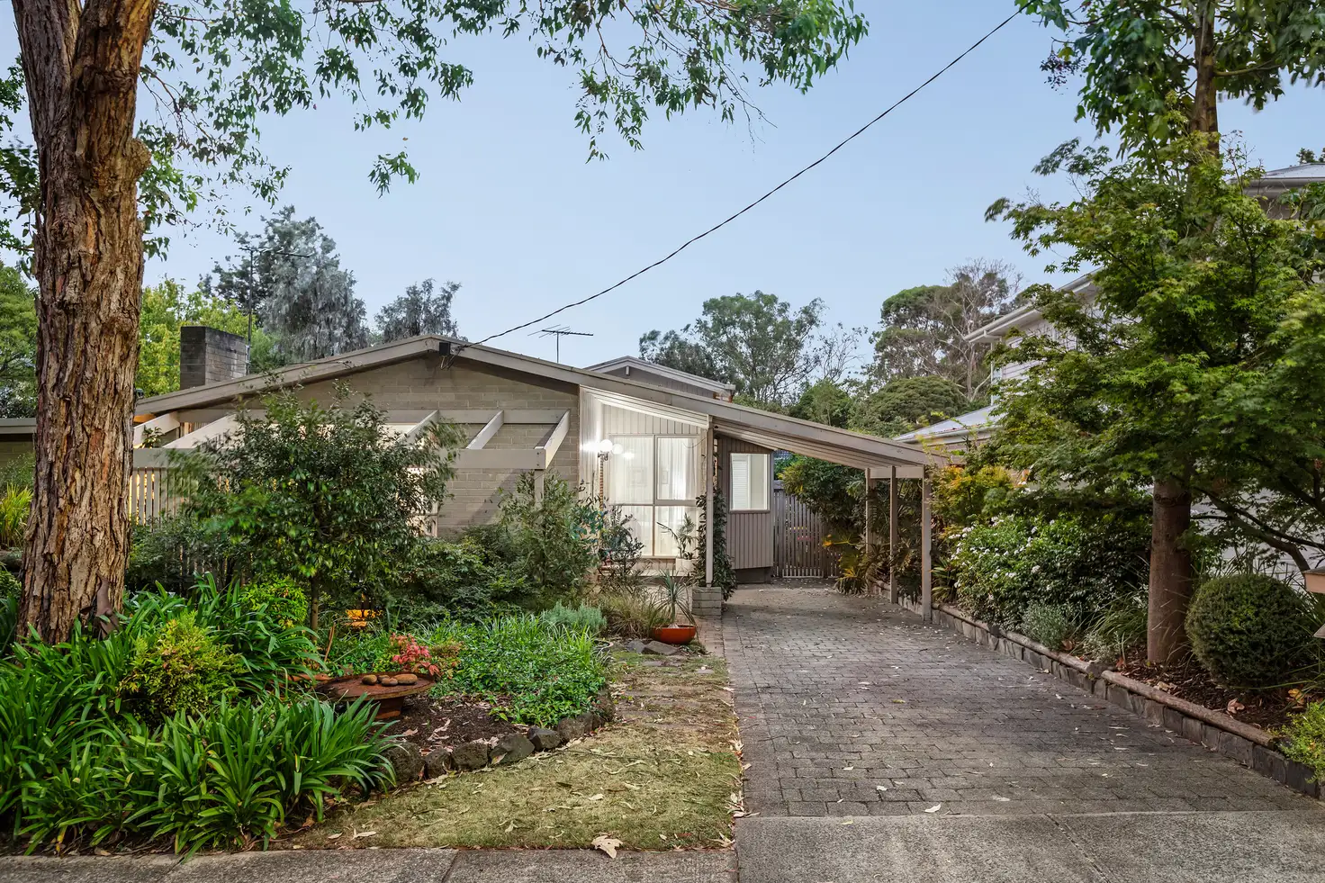 Main view of Homely house listing, 36 Rosalind Crescent, Blackburn VIC 3130
