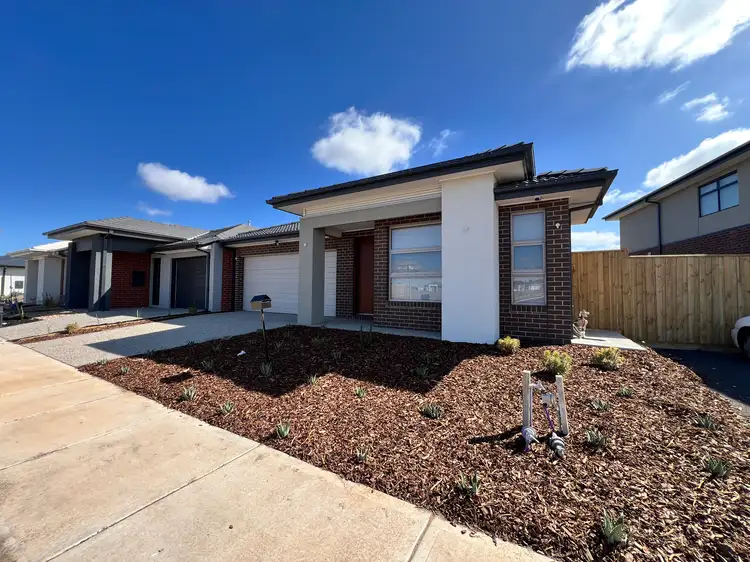 25 Ziggy Road