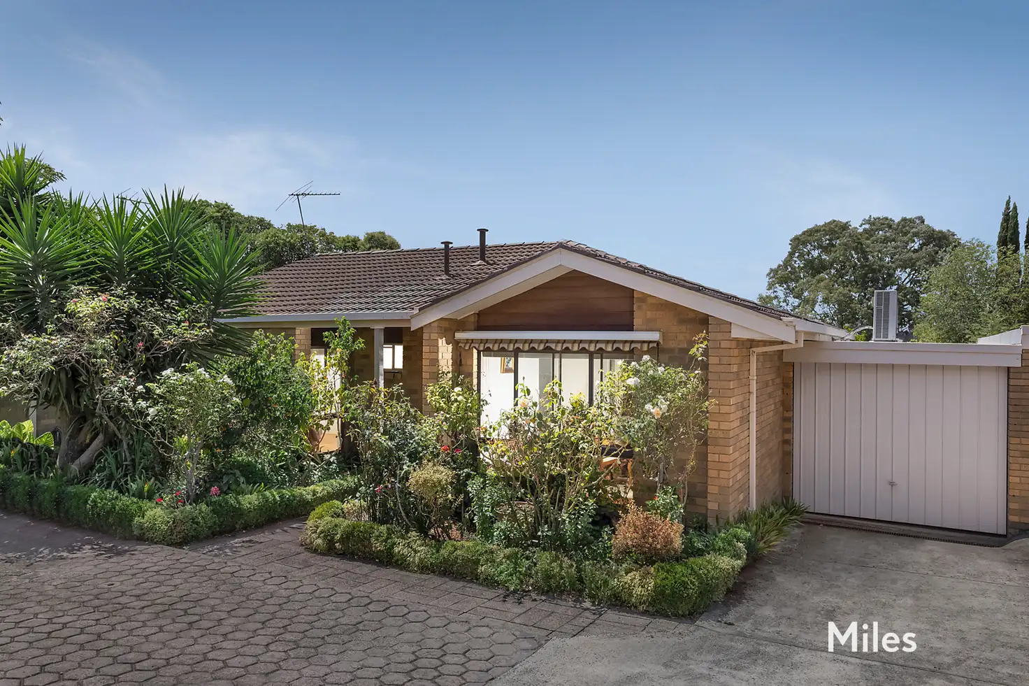 Main view of Homely unit listing, 3/38-40 Banksia Street, Heidelberg VIC 3084