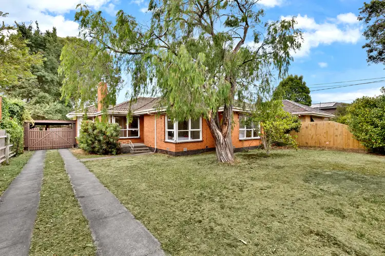 16 Muir Street, Mount Waverley VIC 3149