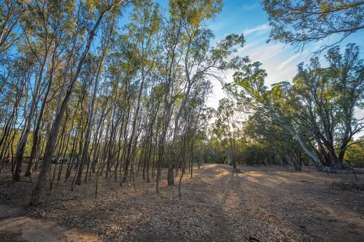 Seventh view of Homely rural property listing, 82 Cudmore Road, Moonambel VIC 3478