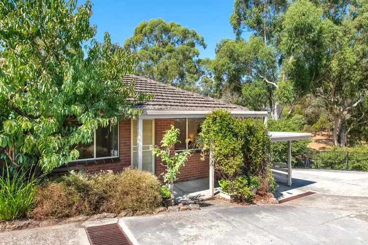 444 Canterbury Road