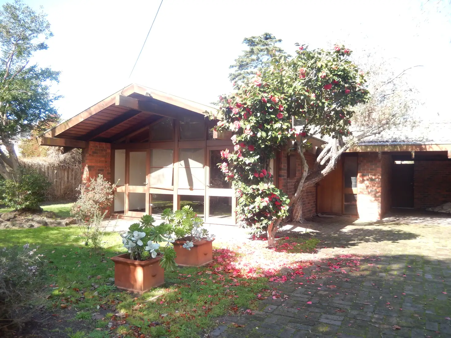 Main view of Homely house listing, 13 Pearson Grove, Caulfield North VIC 3161