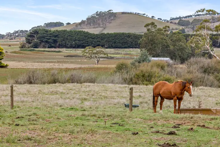Second view of Homely rural property listing, 1954 Old Melbourne Road, Millbrook VIC 3352