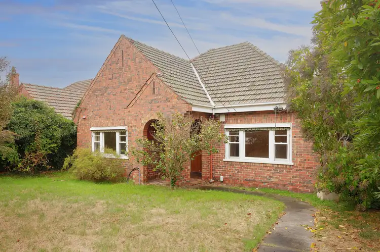 17 Hall Street, Brighton VIC 3186