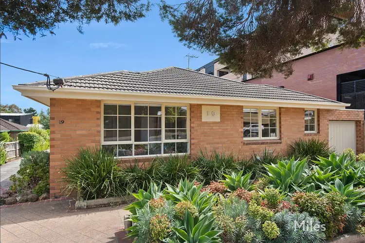 1/19 Livingstone Street, Ivanhoe VIC 3079