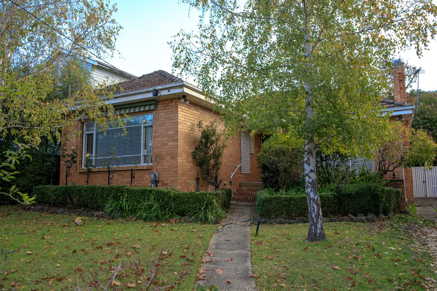 Main view of Homely house listing, 12 Theodore Street, Surrey Hills VIC 3127