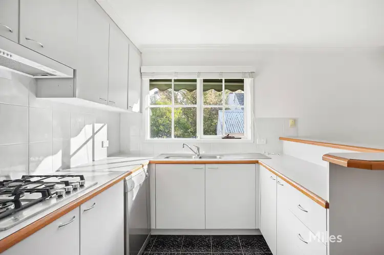 Third view of Homely house listing, 24A Elm Street, Surrey Hills VIC 3127