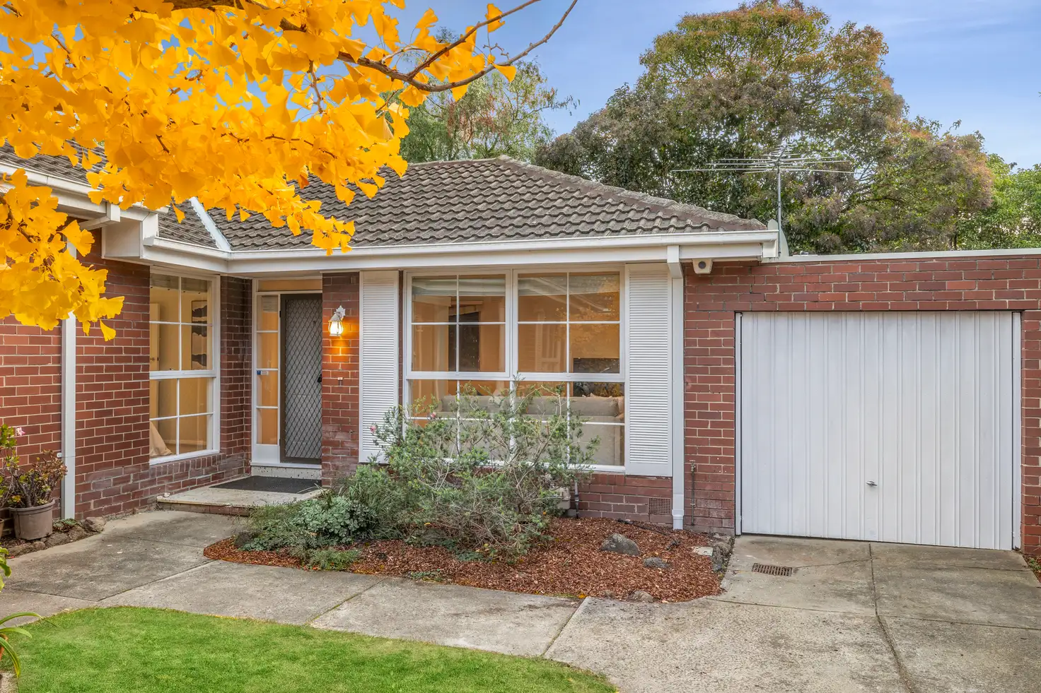 Main view of Homely unit listing, 3/10 Lithgow Street, Glen Iris VIC 3146