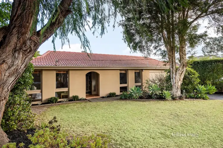 12 Hibiscus Avenue, Cheltenham VIC 3192