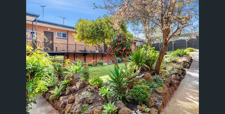 1/9 Elizabeth St, Highton VIC 3216
